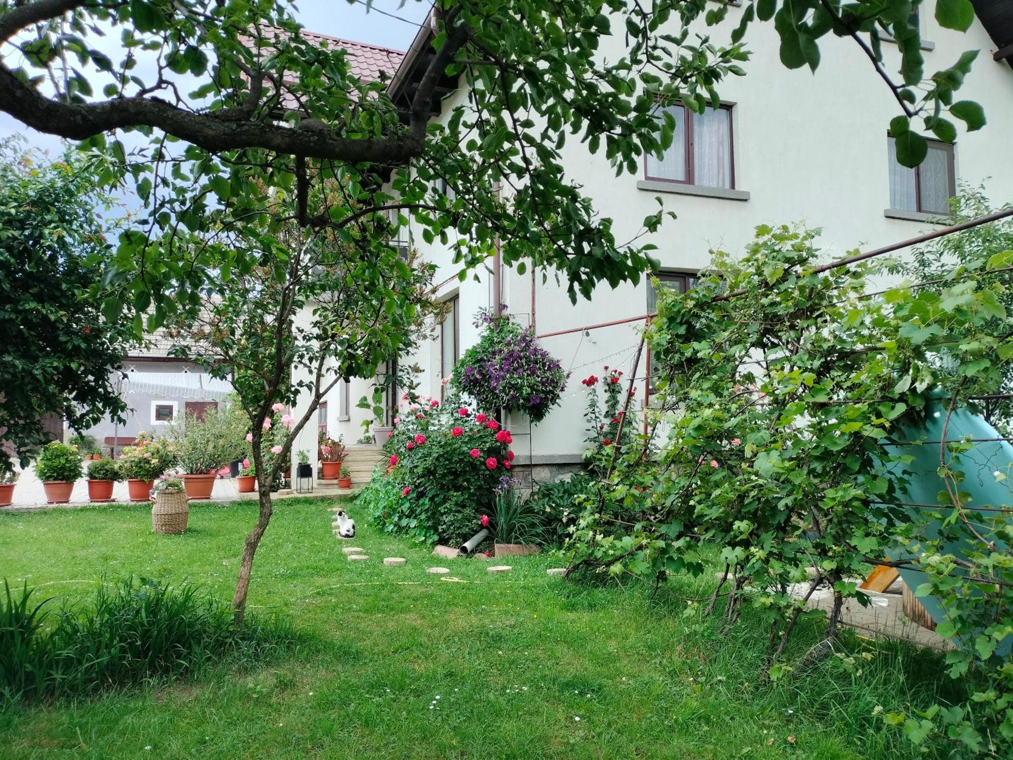 Casa Cornelia Hotel Bran  Eksteriør billede